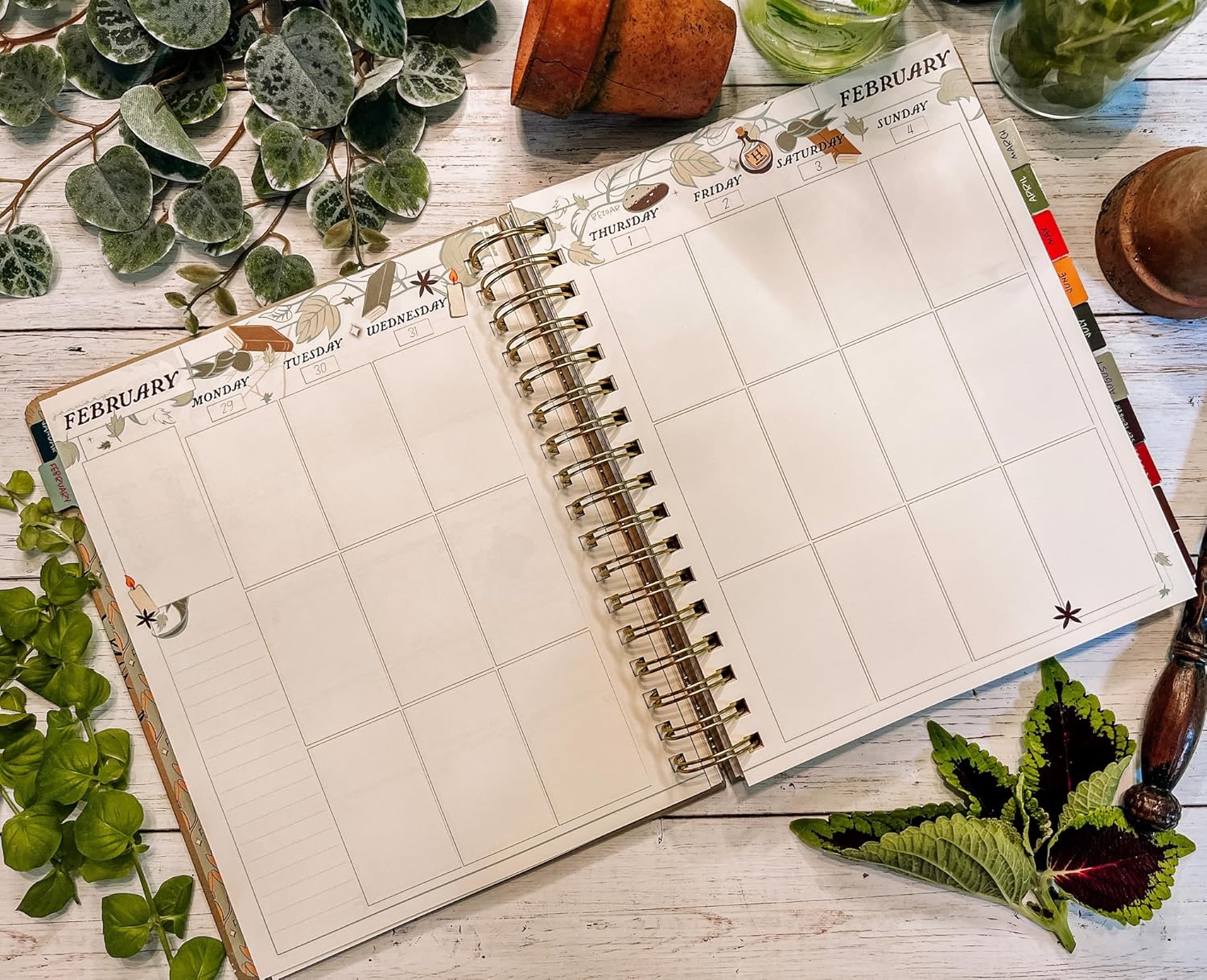 Conquest Journals Harry Potter Herbology – Agenda semanal fechada 2024, formato vertical, cubierta de tablero de libro envuelta, encuadernado en