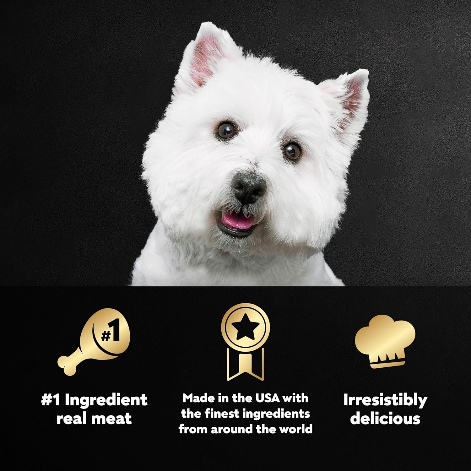 CESAR Classic Loaf – Alimento húmedo para perros, juego de 24 bandejas en salsa gourmet