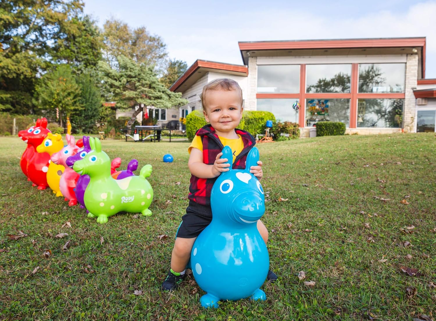 Gymnic RODY Caballo, talla única