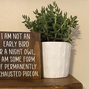 Interesante letrero de madera con texto en inglés “I am not an early bird or a night owl I am some kind of permanently exhausted” (I am not an early Interesante letrero de madera con texto en inglés “I am not an early bird or a night owl I am some kind of permanently exhausted” (I am not an early
