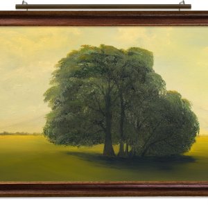 Iluminación situ Plug-in Vision Series Control Remoto LED Arte e Imagen Luz – Hecho en Estados Unidos – Ajuste de color 2700K – 4000K Iluminación situ Plug-in Vision Series Control Remoto LED Arte e Imagen Luz – Hecho en Estados Unidos – Ajuste de color 2700K – 4000K