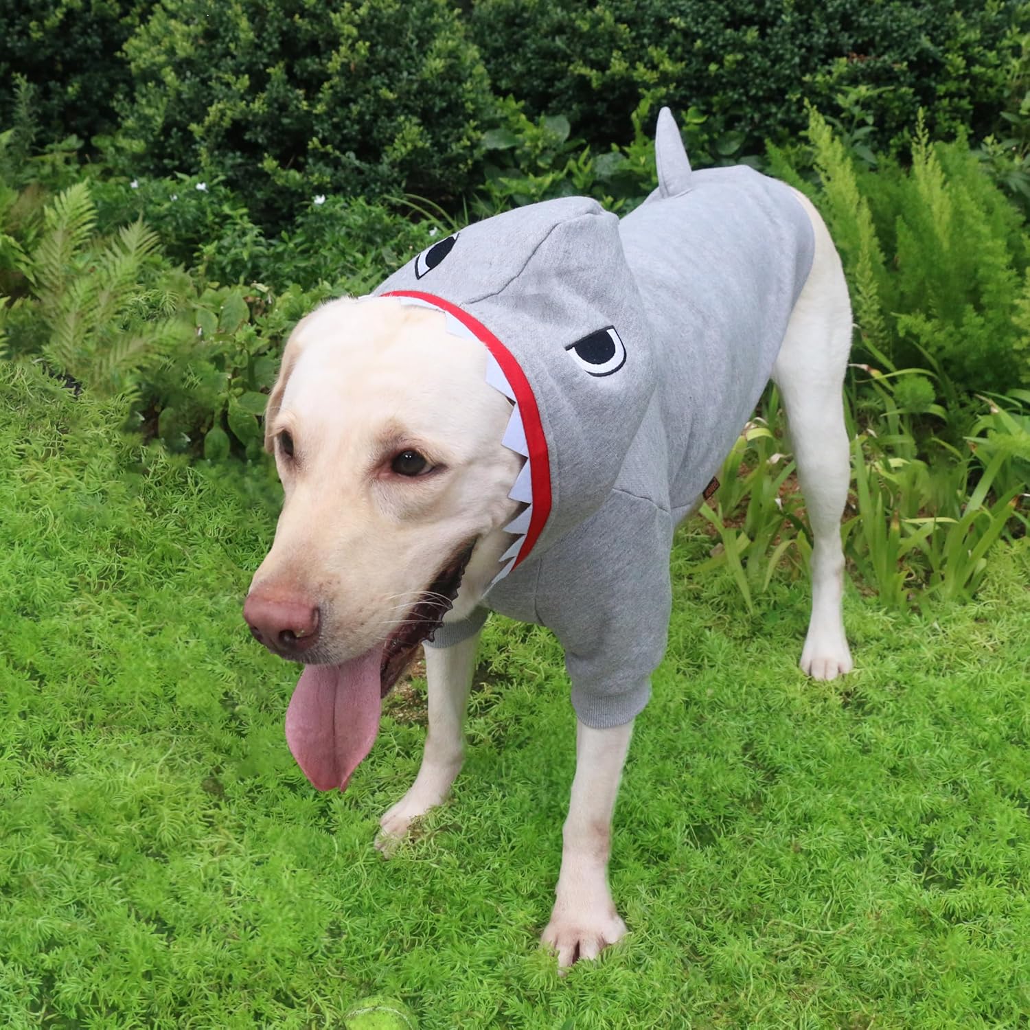 Disfraz de tiburón para Halloween para perros extra grandes, sudaderas con capucha y mandíbulas, ropa de Labrador Rottweiler, gran danés, gris,