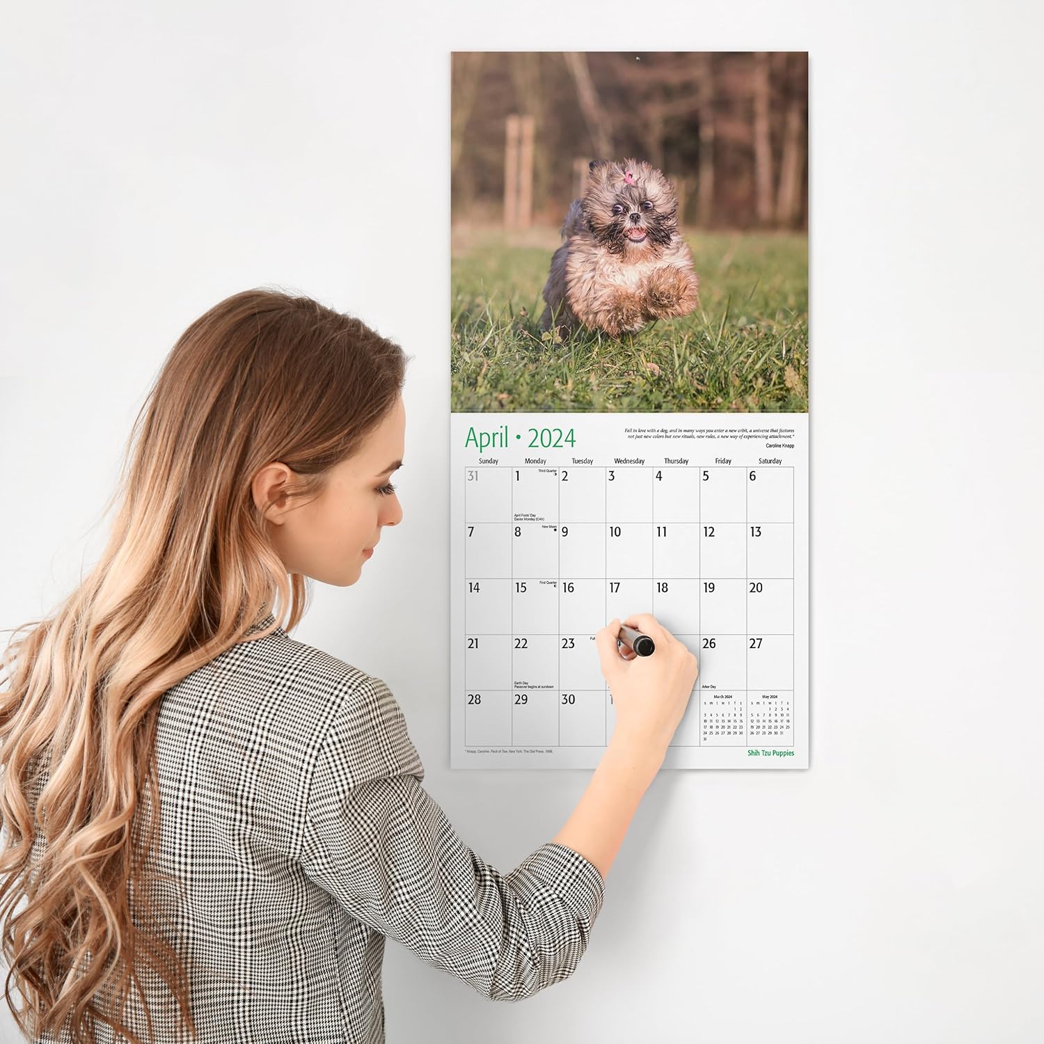RED EMBER Shih Tzu Puppies – Calendario mensual de pared colgante 2024, 12 x 24 pulgadas, abierto, papel grueso y resistente, para regalo, lindo