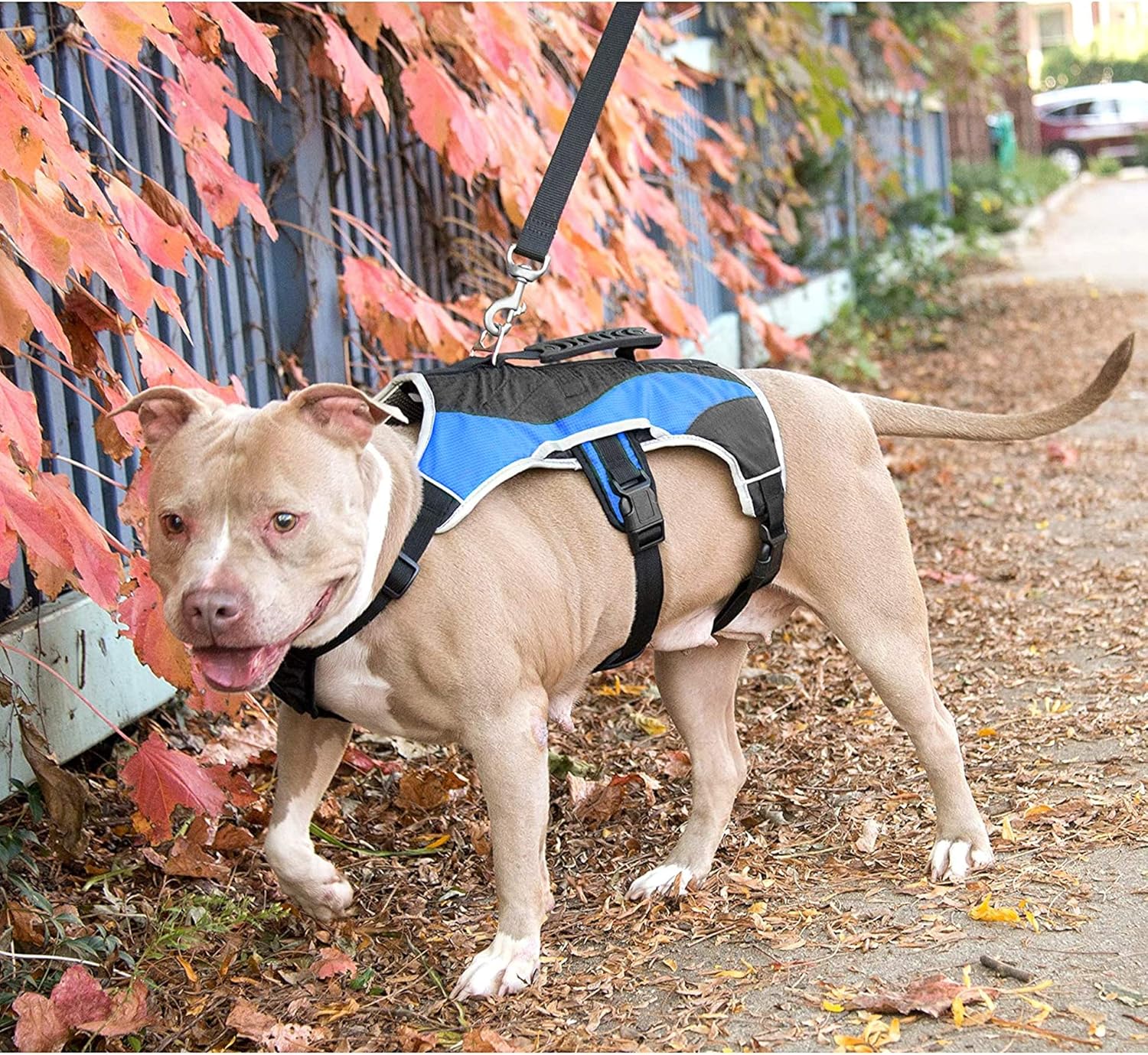 Peak Pooch – Arnés para perro sin tirones – Chaleco acolchado de tela de malla con ribete reflectante, asas de elevación, correas de velcro y