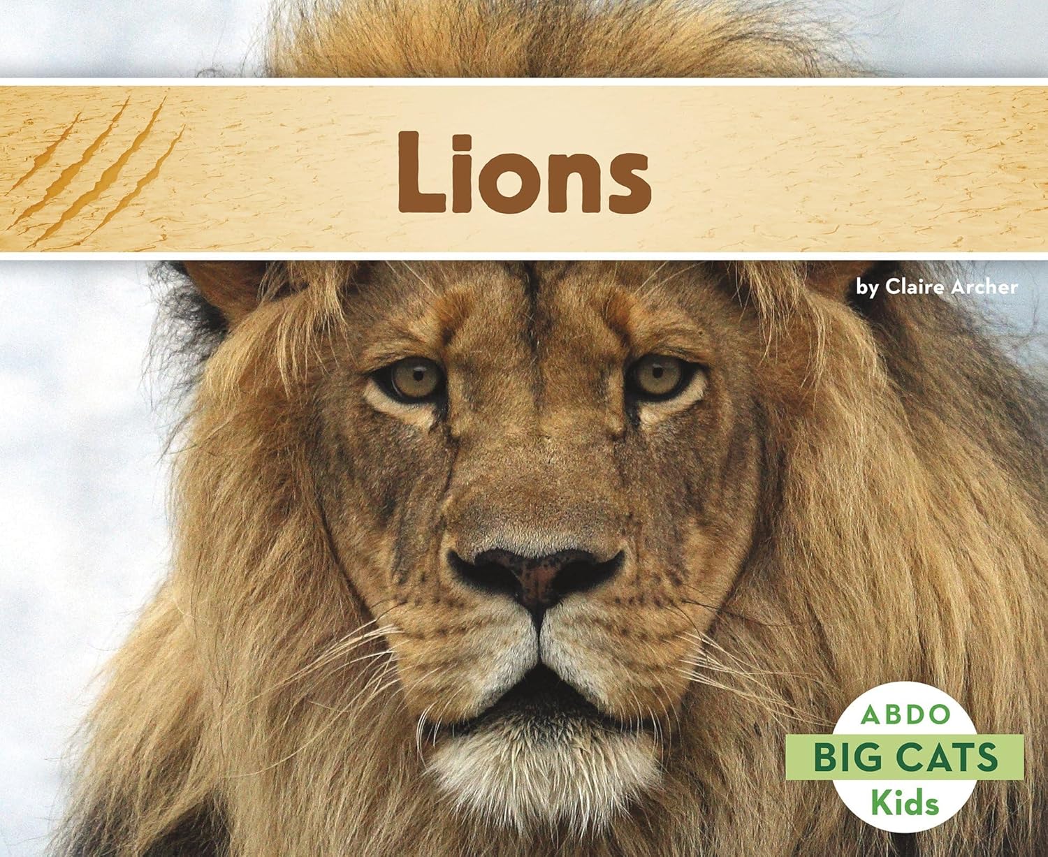 Paquete de lectura para principiantes de Wild Cats Explora el mundo de gatos, leones, jaguares, guepardos y leopardos – 4 libros atractivos para