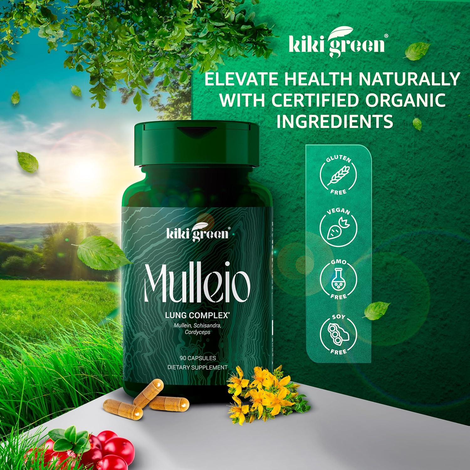 MULLEIO Cápsulas de salud pulmonar suplemento herbario para limpieza pulmonar, mejor función pulmonar y apoyo respiratorio – Mullein, Cordyceps,