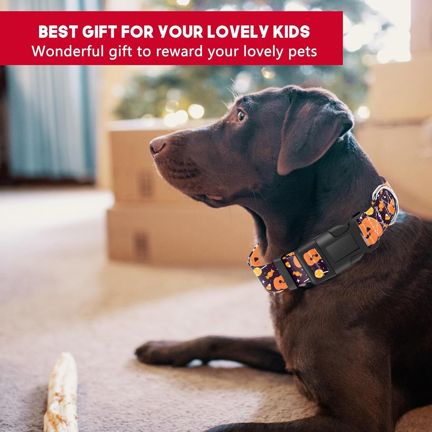 Seyezo Collar de perro de Halloween con patrón de calabaza caramelo, bonito collar transpirable para cachorros para niños y niñas con hebilla de