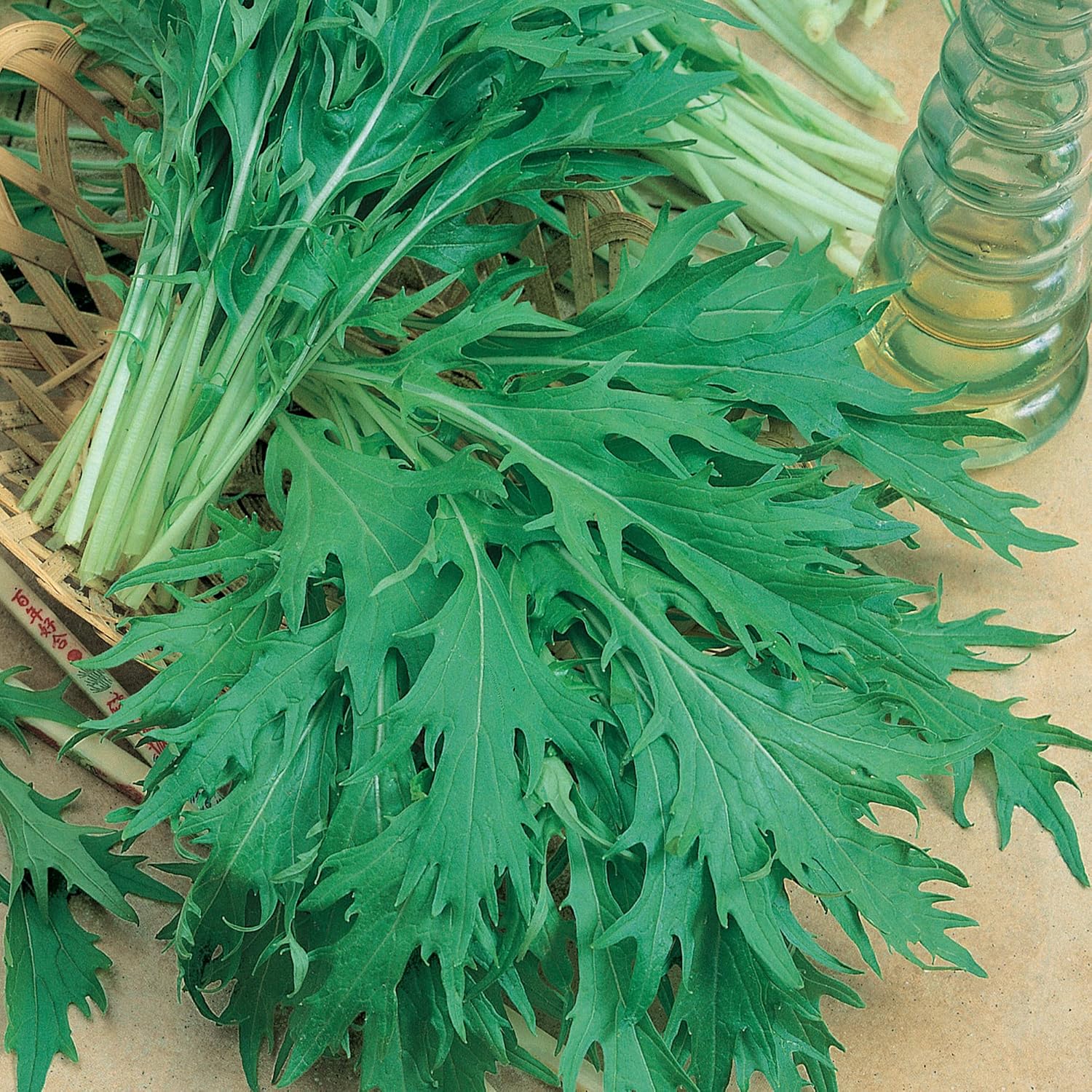 Semillas de mostaza Mizuna orgánicas, 1 libra  240000 semillas, sin OMG, certificadas orgánicas, reliquia – Jardín de verdurashierbas, cultivo de