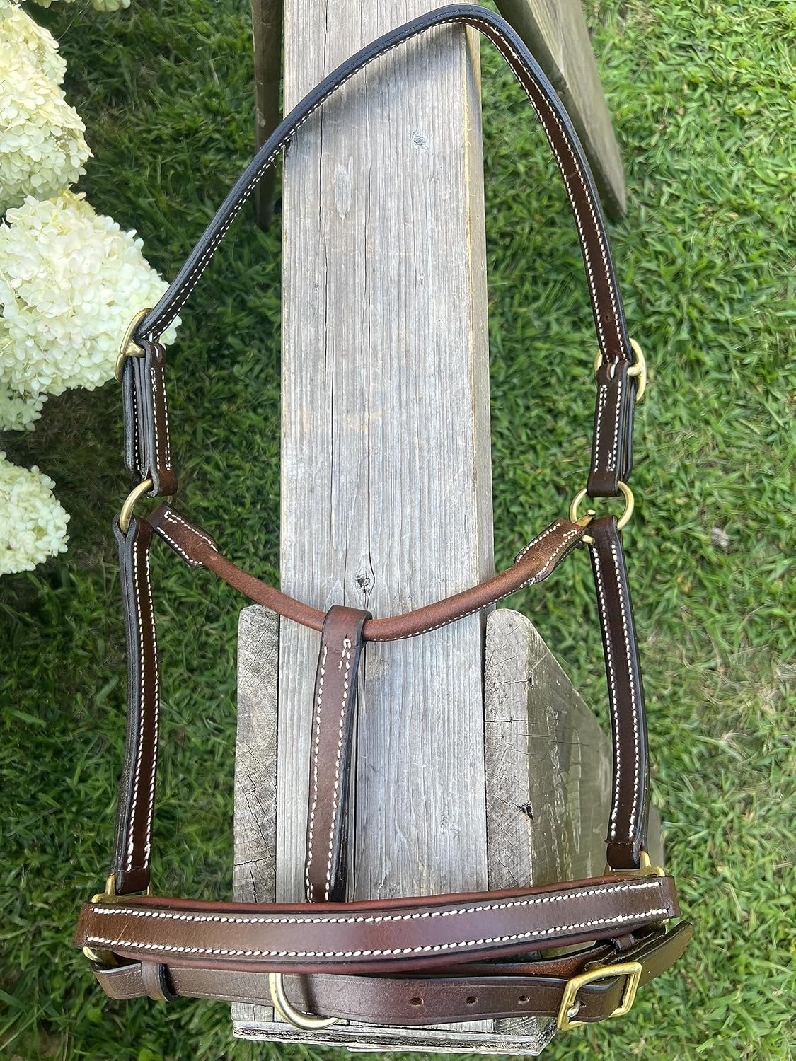 Leaders – Cabestro de cuero acolchado de 34 pulgadas para caballos con placa de nombre grabada personalizada, cuero marrón con herrajes de latón