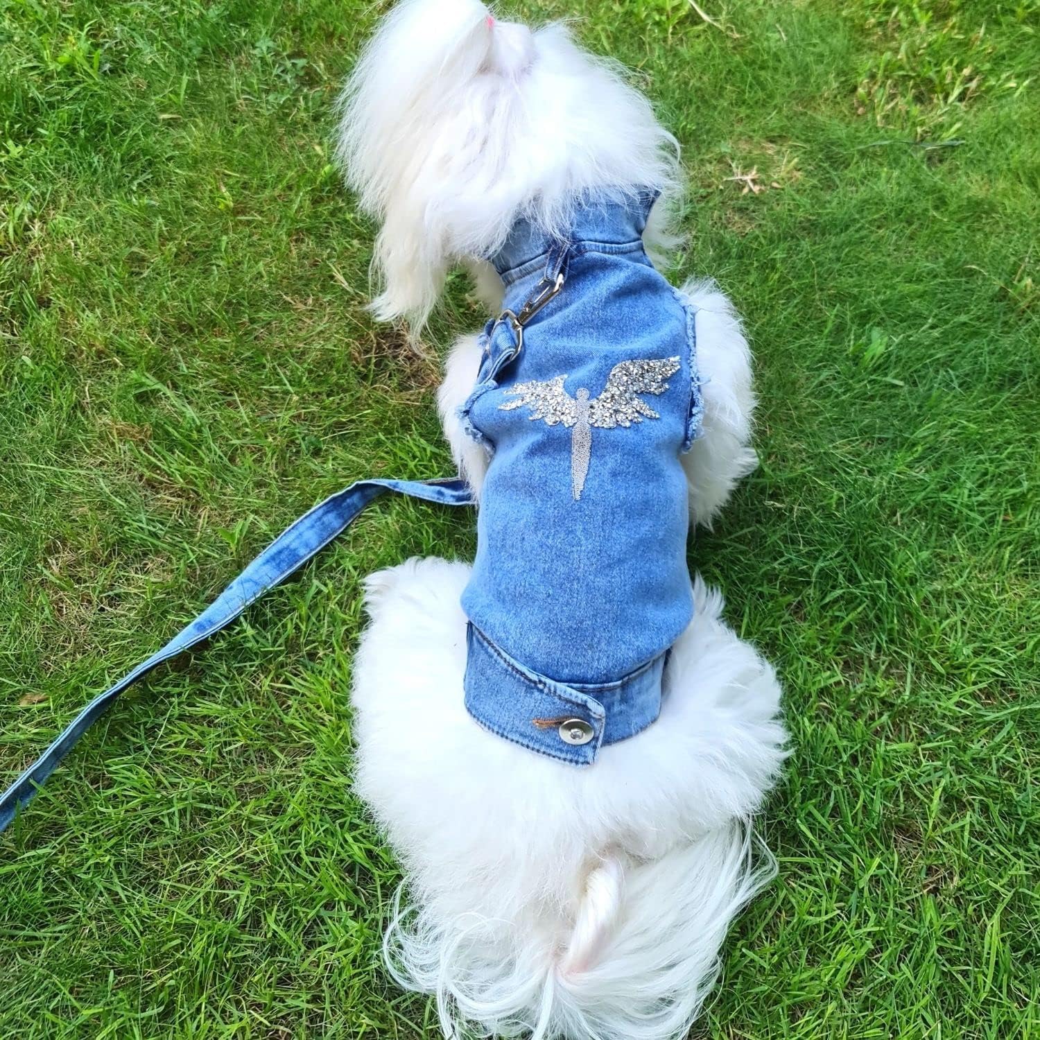 Chaqueta de arnés para perros, Chaqueta de mezclilla para perros, Ropa de perro de lujo, Ropa de perro con diseño de espalda de piedra Swarovski,