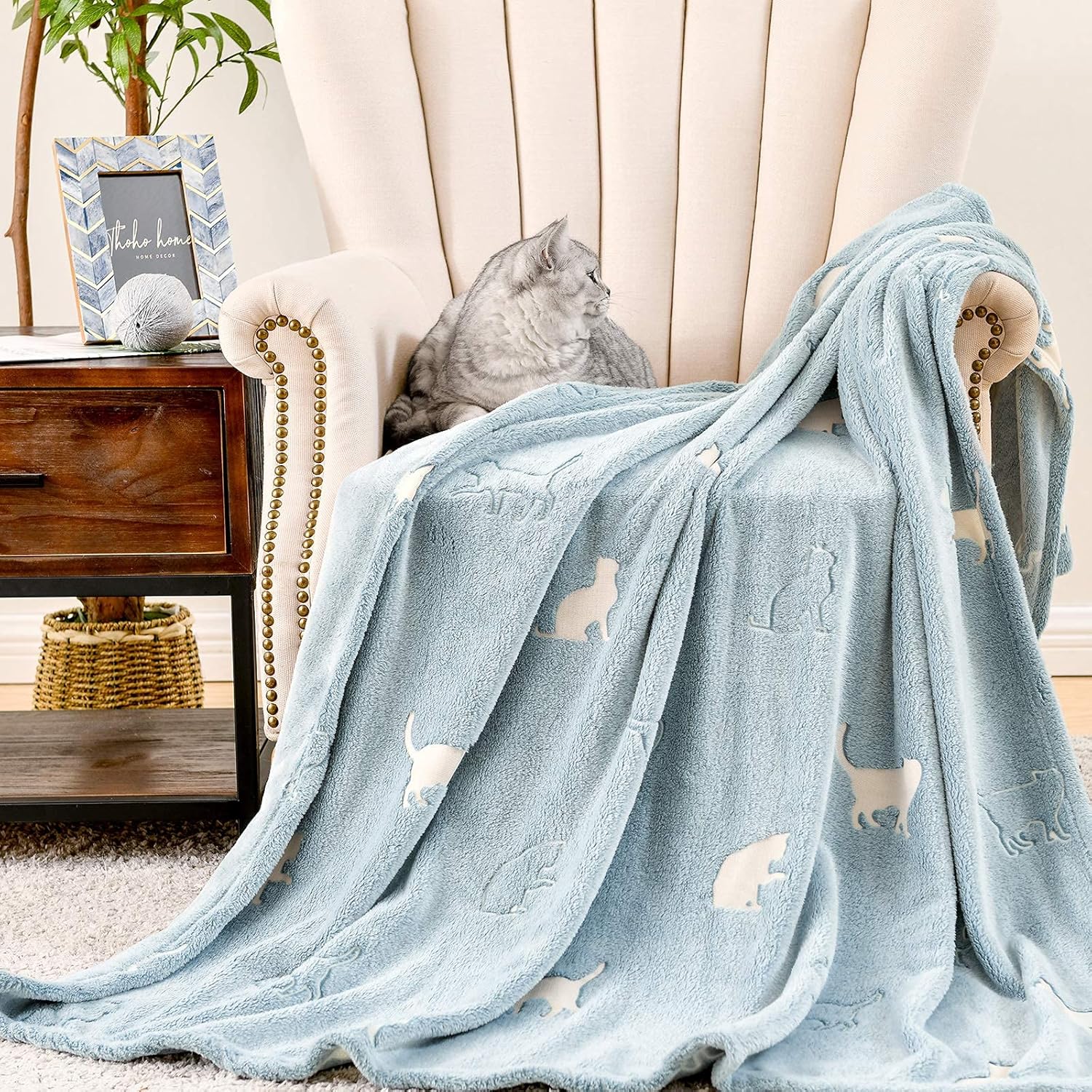 jinchan Manta que brilla en la oscuridad, con patrón de gato de 50 x 60 pulgadas, manta de forro polar suave para decoración de sofá, cama,