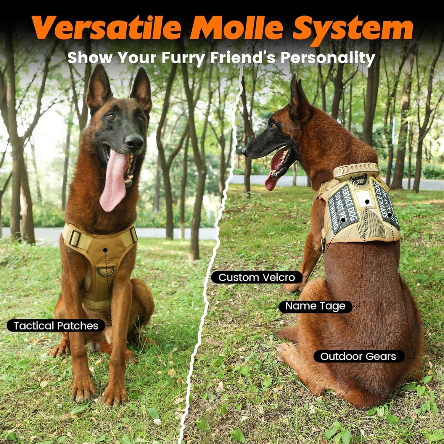 Arnés táctico para perro, 2 correas ligeras con hebilla de metal resistente para perros medianos y extragrandes con 6 parches para perros, arnés
