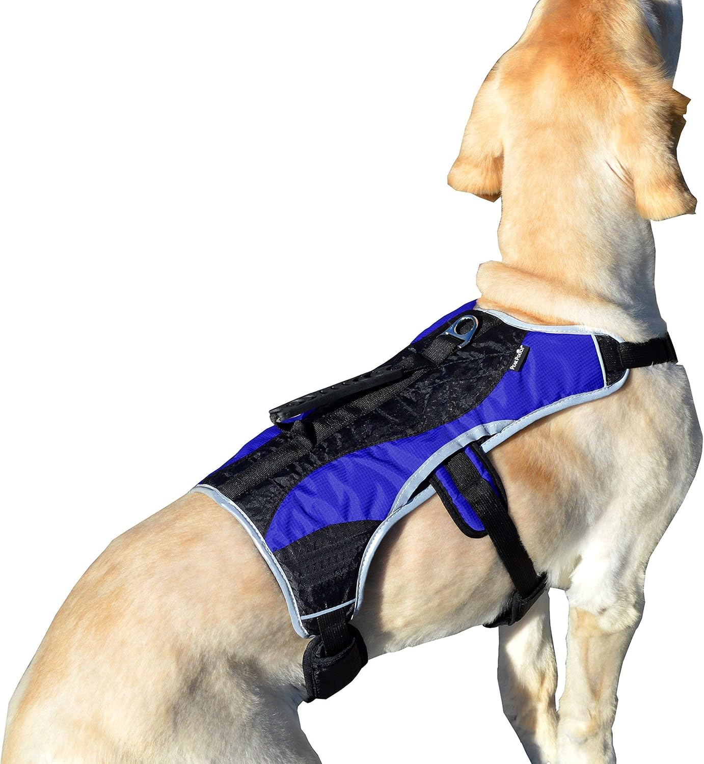 Arnés de transporte para perros y caminatas con malla acolchada, accesorio, collar, ligero, no más tirones, tensiones o ahorque, para cachorros,