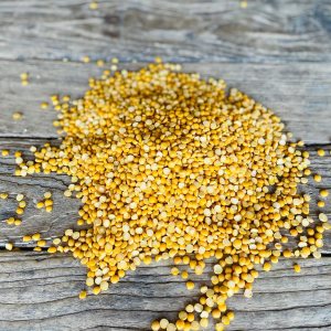 North Lily – Guisantes amarillos divididos, sin OMG, Kosher, 50 libras North Lily – Guisantes amarillos divididos, sin OMG, Kosher, 50 libras