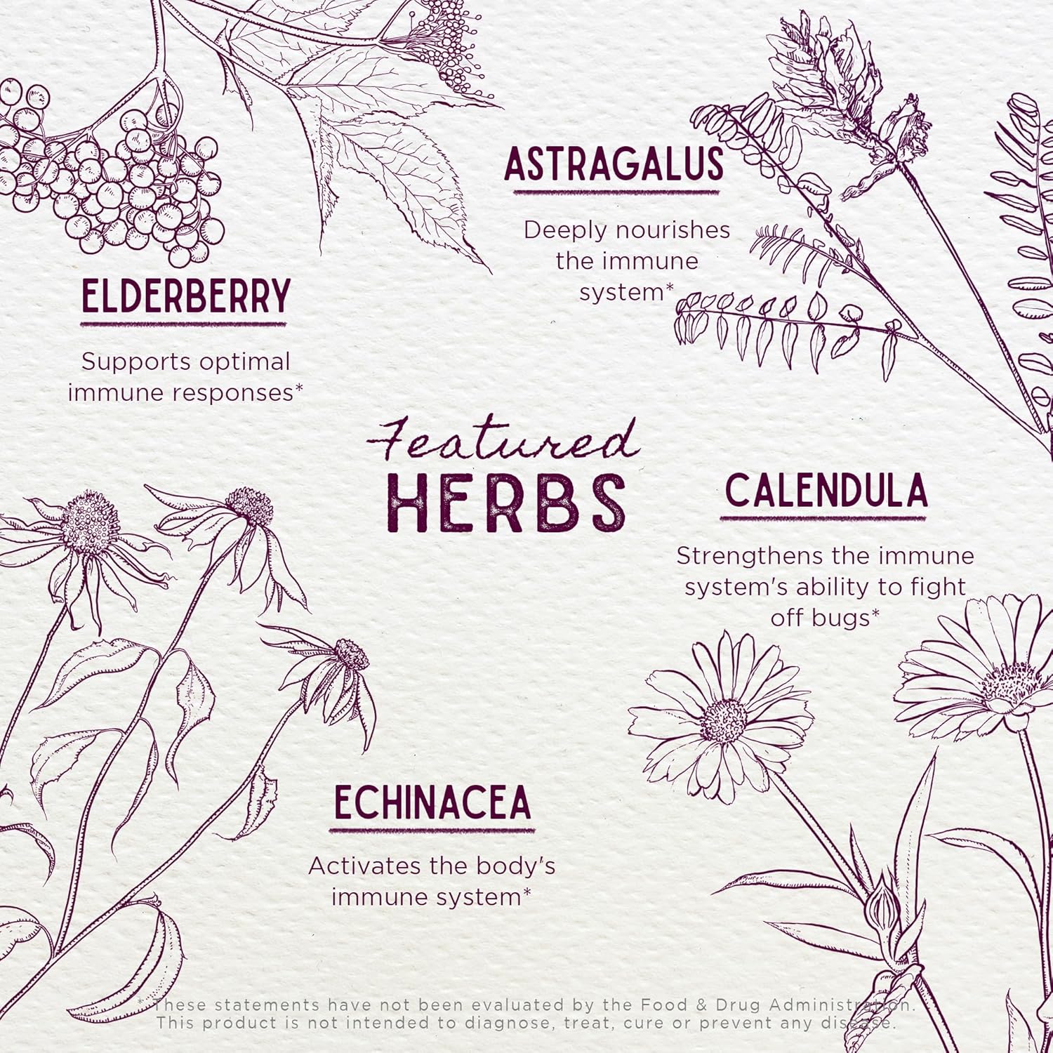 WishGarden Herbs Daily Immune for Kids – Fórmula diaria de apoyo inmunológico para niños, defensa inmunológica a base de hierbas y refuerzo del