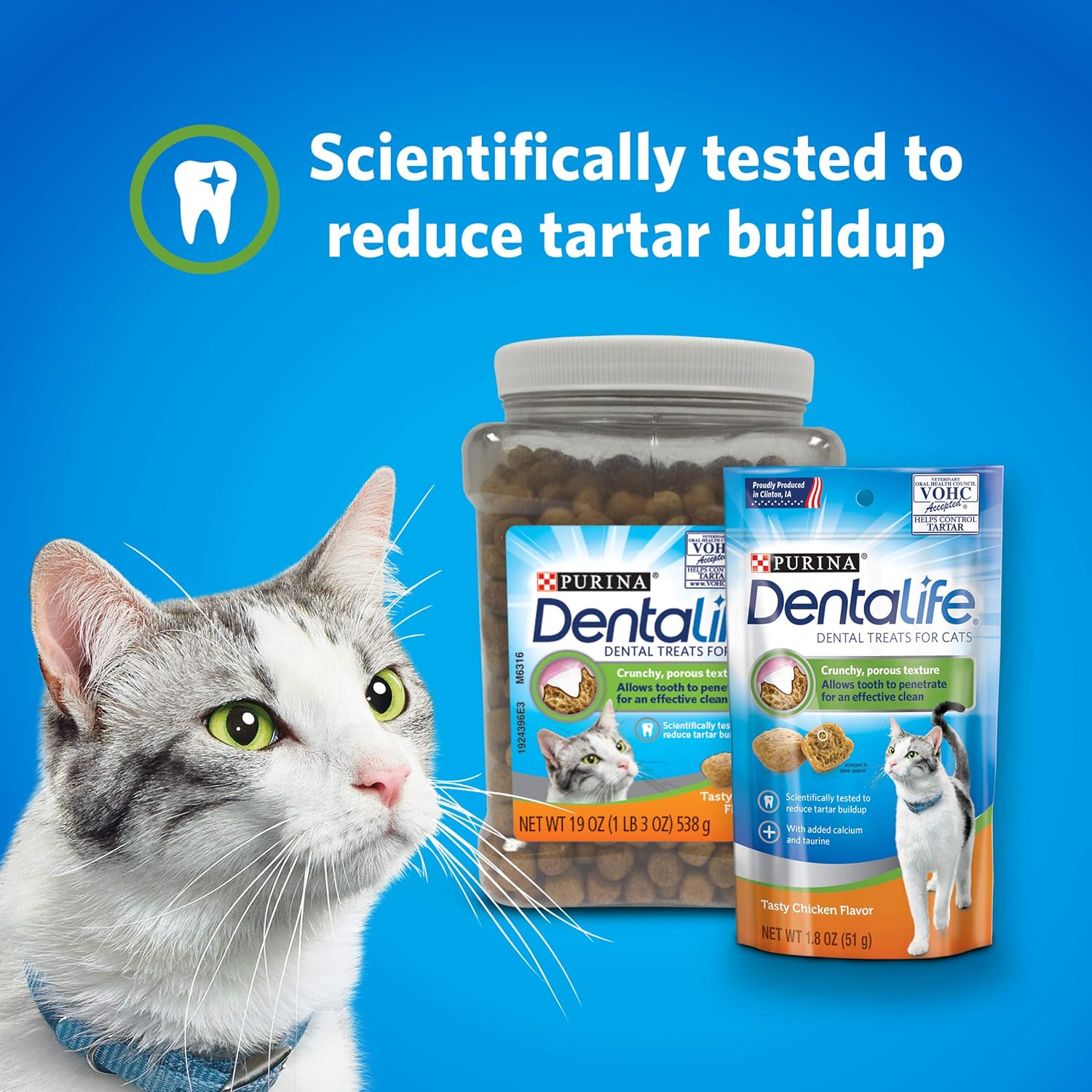 DentaLife Purina Made in USA Facilities – Golosinas dentales para gatos, sabroso sabor a pollo, recipiente de 19 onzas