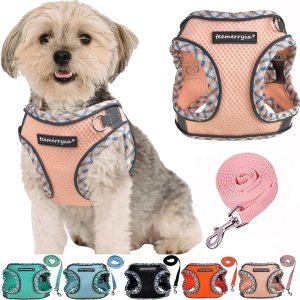 TEEMERRYCA Juego de arnés y correa para perro para todo tipo de clima, fácil de poner y quitar, arnés reflectante ajustable sin tirones para TEEMERRYCA Juego de arnés y correa para perro para todo tipo de clima, fácil de poner y quitar, arnés reflectante ajustable sin tirones para