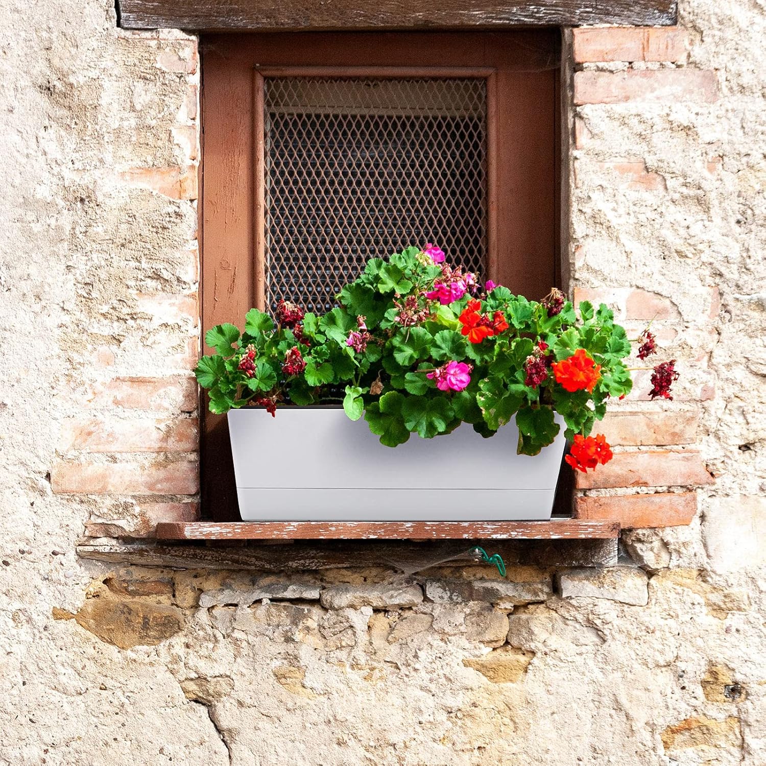 GREANER – Maceta con bandeja para hierbas, 12 x 3.8 pulgadas, maceta rectangular para ventana, para flores o suculentas en interiores, maceta de