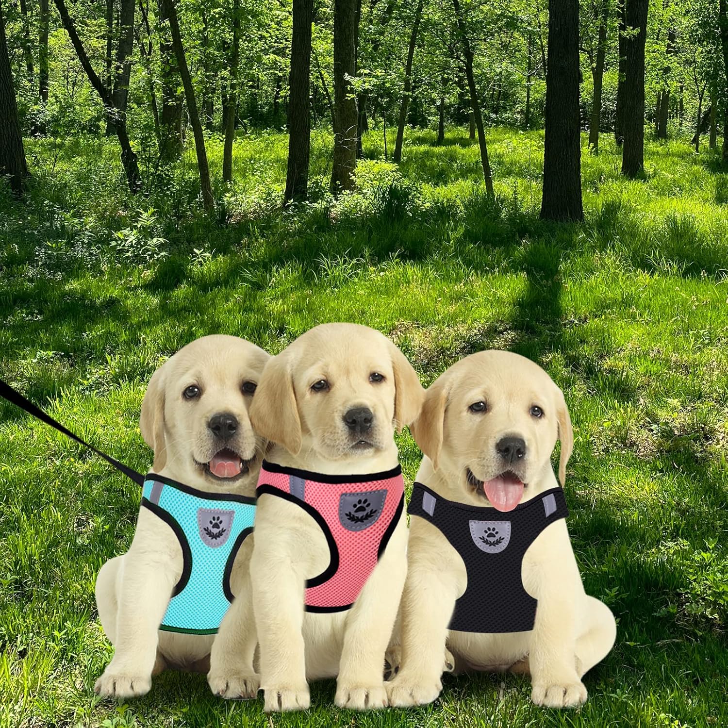 Juego de 4 piezas de arnés y correa para perro, suave y transpirable, arnés para perro sin tirones con bandas reflectantes, arnés ajustable para