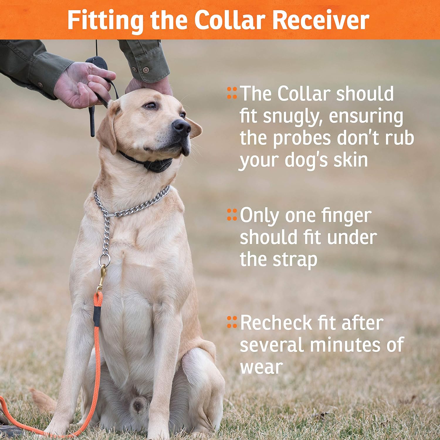 SportDOG Brand YardTrainer – Collares de entrenamiento para perros familiares, rango de 300 yardas, entrenadores a distancia con estática, vibración