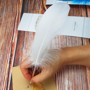 Bolígrafo de plumas naturales para niños, escritura escolar, firmas, pluma retro para escribir en la boda Bolígrafo de plumas naturales para niños, escritura escolar, firmas, pluma retro para escribir en la boda
