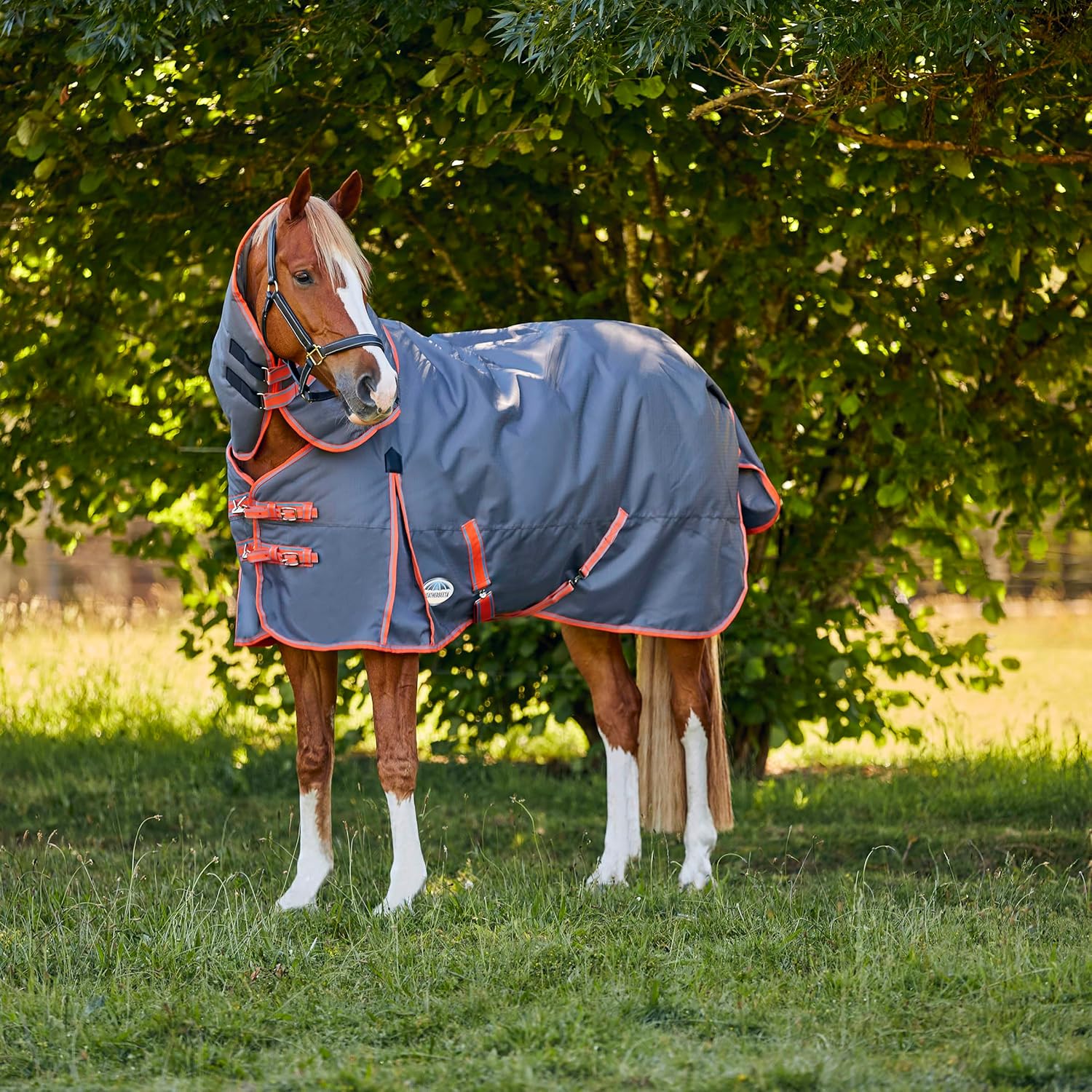 WeatherBeeta ComFiTec Essential Plus Detach-A-Neck – Manta mediana para caballo, grisnaranjaazul, 48 pulgadas