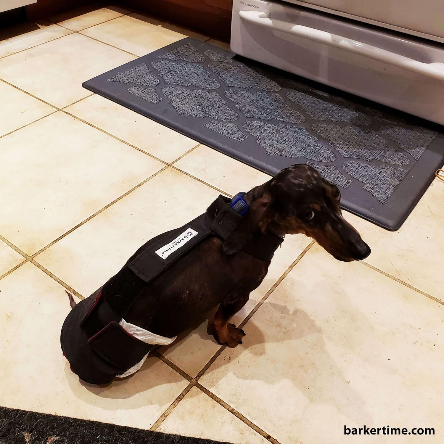 Pañal negro para perro, XXL, con orificio para la cola, fabricado en Estados Unidos