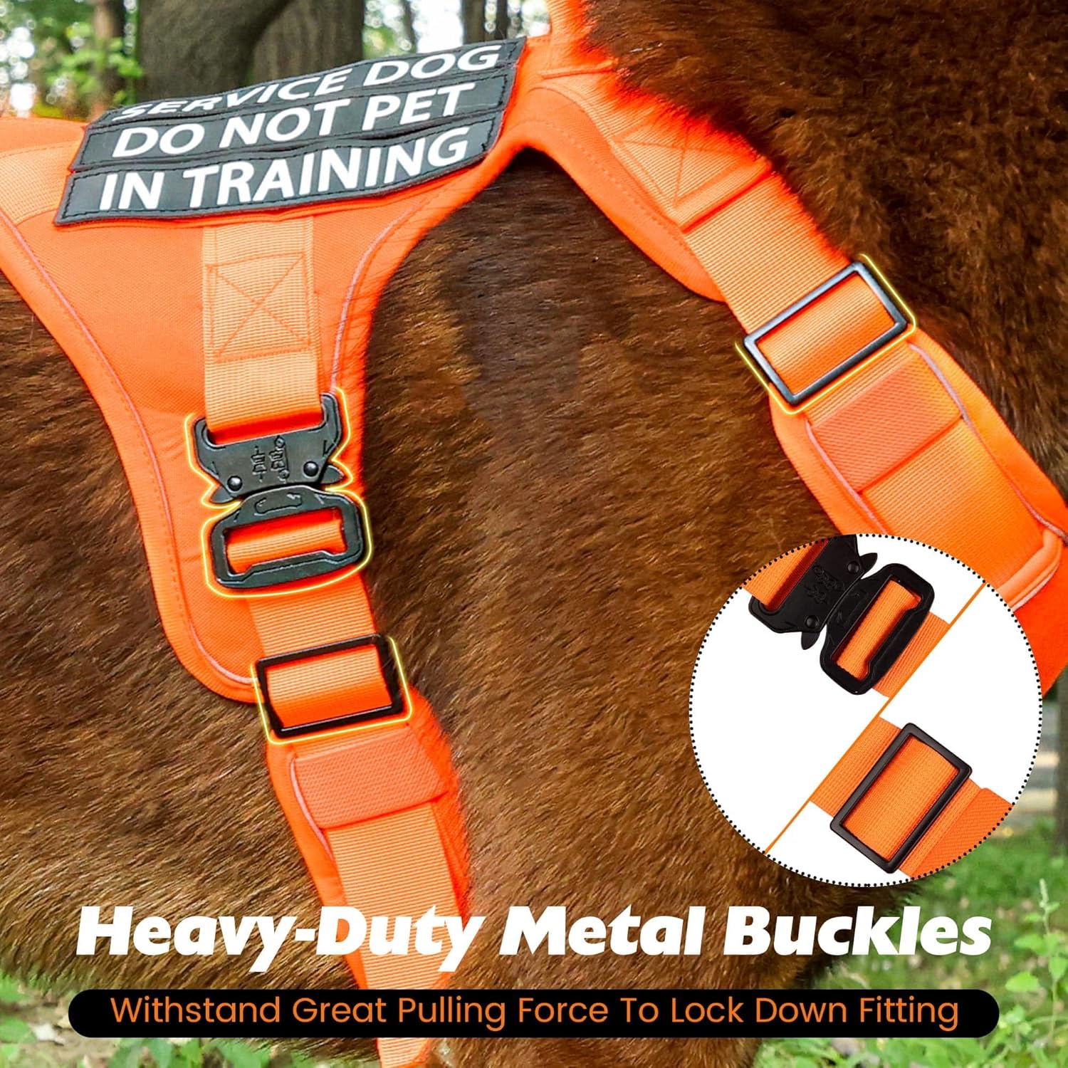 Arnés táctico para perro, 2 correas ligeras con hebilla de metal resistente para perros medianos y extragrandes con 6 parches para perros, arnés