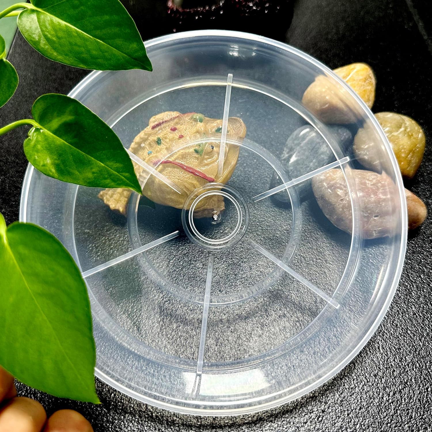 Platillos transparentes para plantas, paquete de 6 bandejas redondas de plástico de 8 pulgadas, resistentes para interiores y exteriores, jardín,