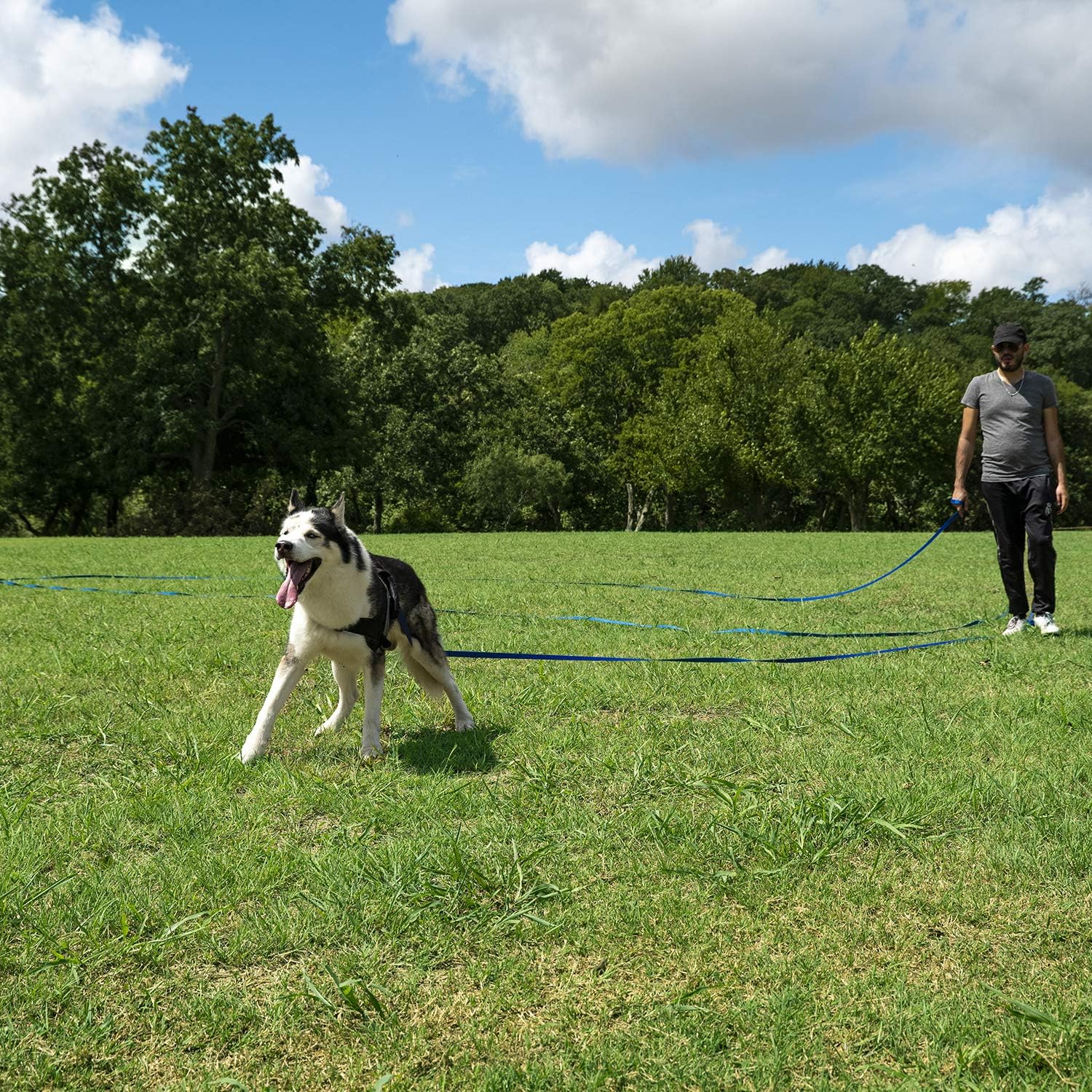 Hi Kiss – Correa de entrenamiento para perros y cachorros de 15 pies, 20 pies, 30 pies, 50 pies, 100 pies, ideal para entrenamiento, juego,