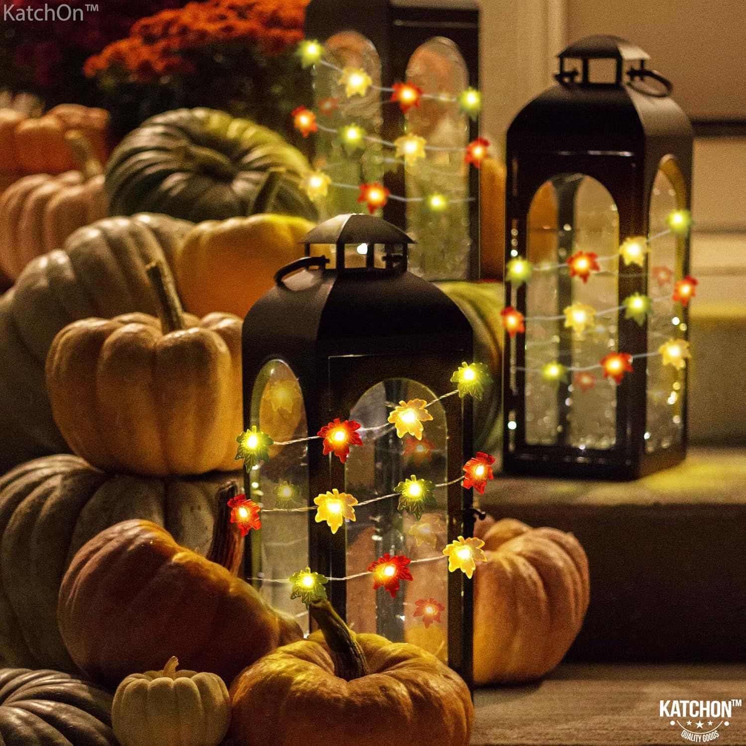 KatchOn, Guirnalda de luces de Acción de Gracias, 7 pies, 20 LED, 8 modos de luz, luces de otoño 3D que funcionan con pilas, luces de hadas con