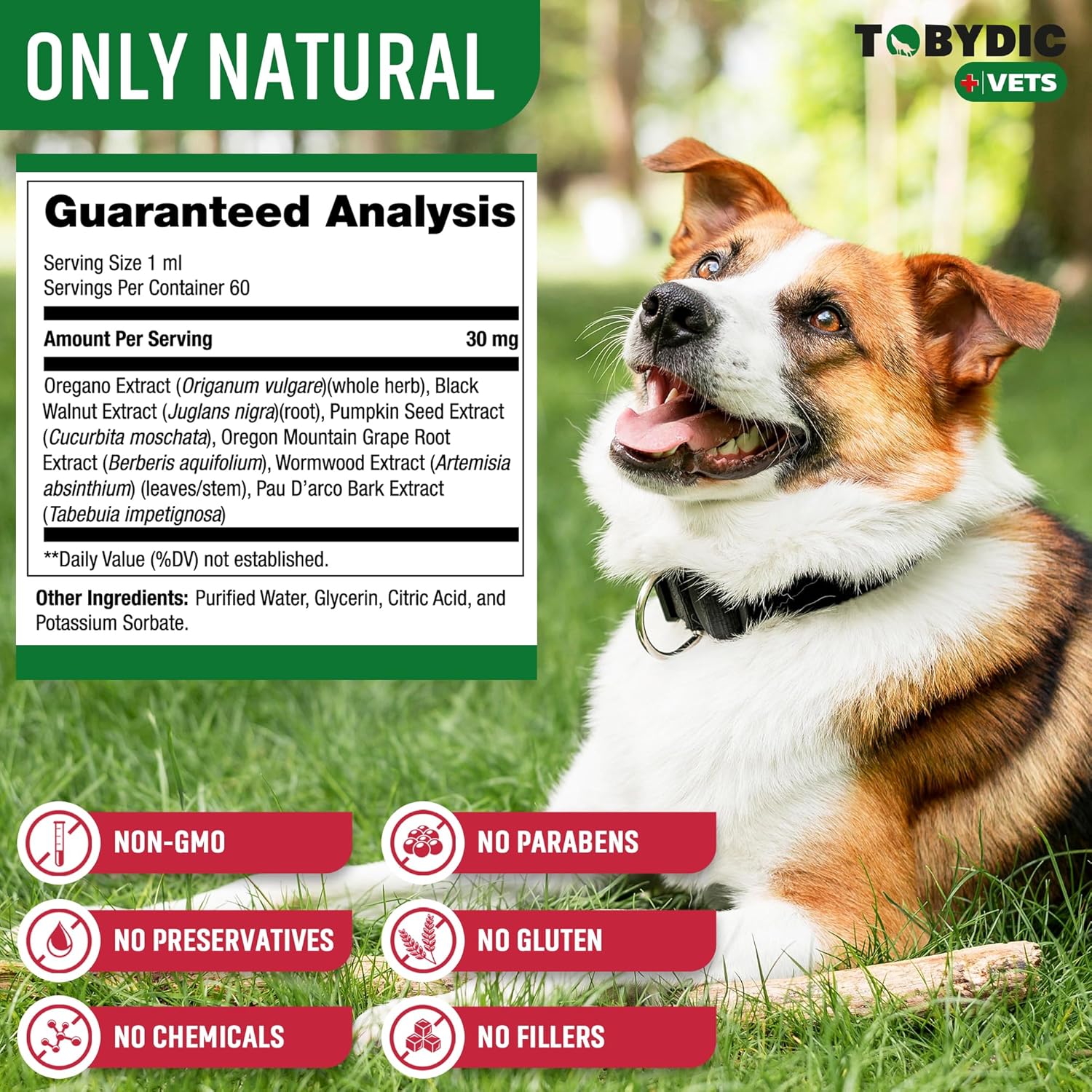Medicina herbaria de amplio espectro para gatos y perros – Prevención y tratamiento para la tenia, gusanos intestinales, gusanos redondos y