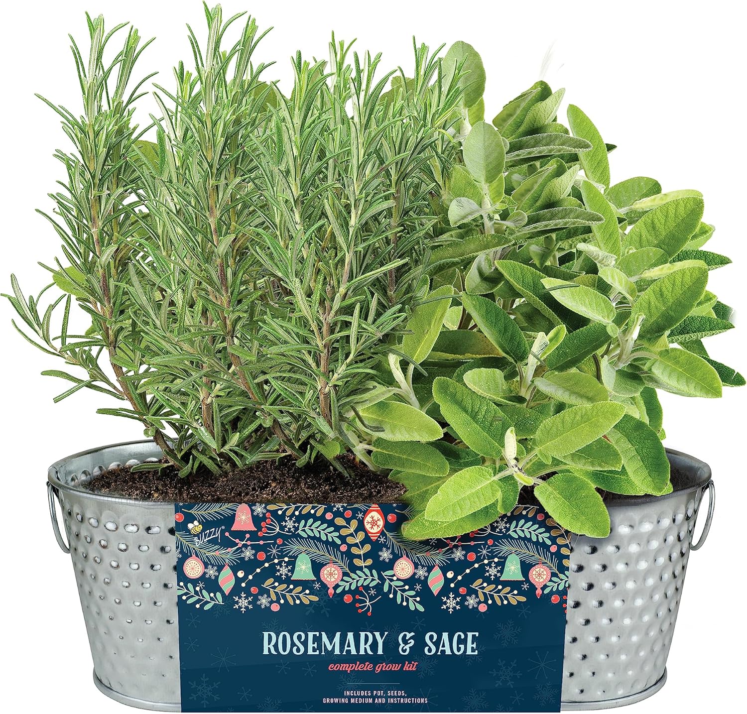 BUZZY Kit de maceta de cultivo para alféizar de ventana de hierbas navideñas, semillas de romero y salvia, los mejores regalos de jardinería,