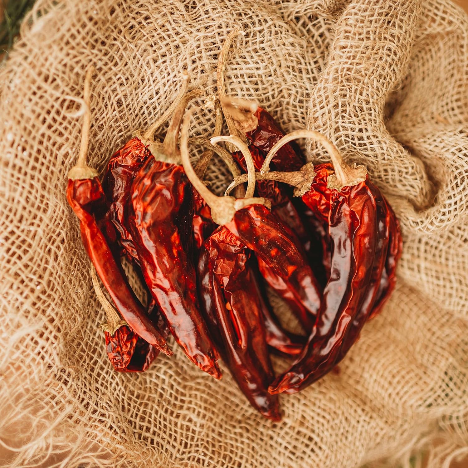 Guajillo Chile Pepper – 25 semillas – reliquia mexicana y variedad de polinización abierta, semillas de vegetales sin OMG para plantar en el jardín
