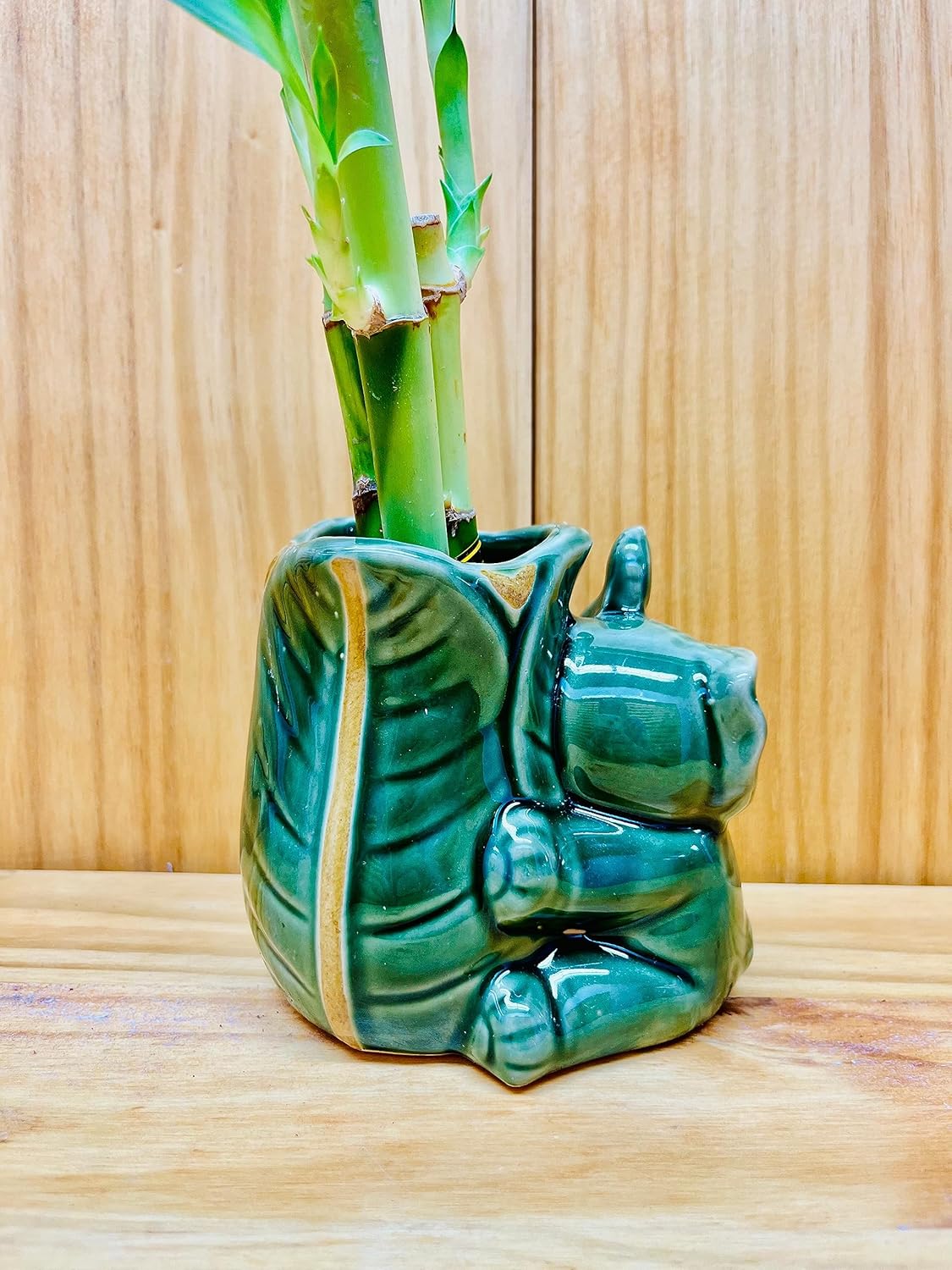 Lucky Bamboo en jarrón de elefante de cerámica, 3 tallos de 6 pulgadas, 6 pulgadas y 8 pulgadas, incluye rocas de guijarros de río