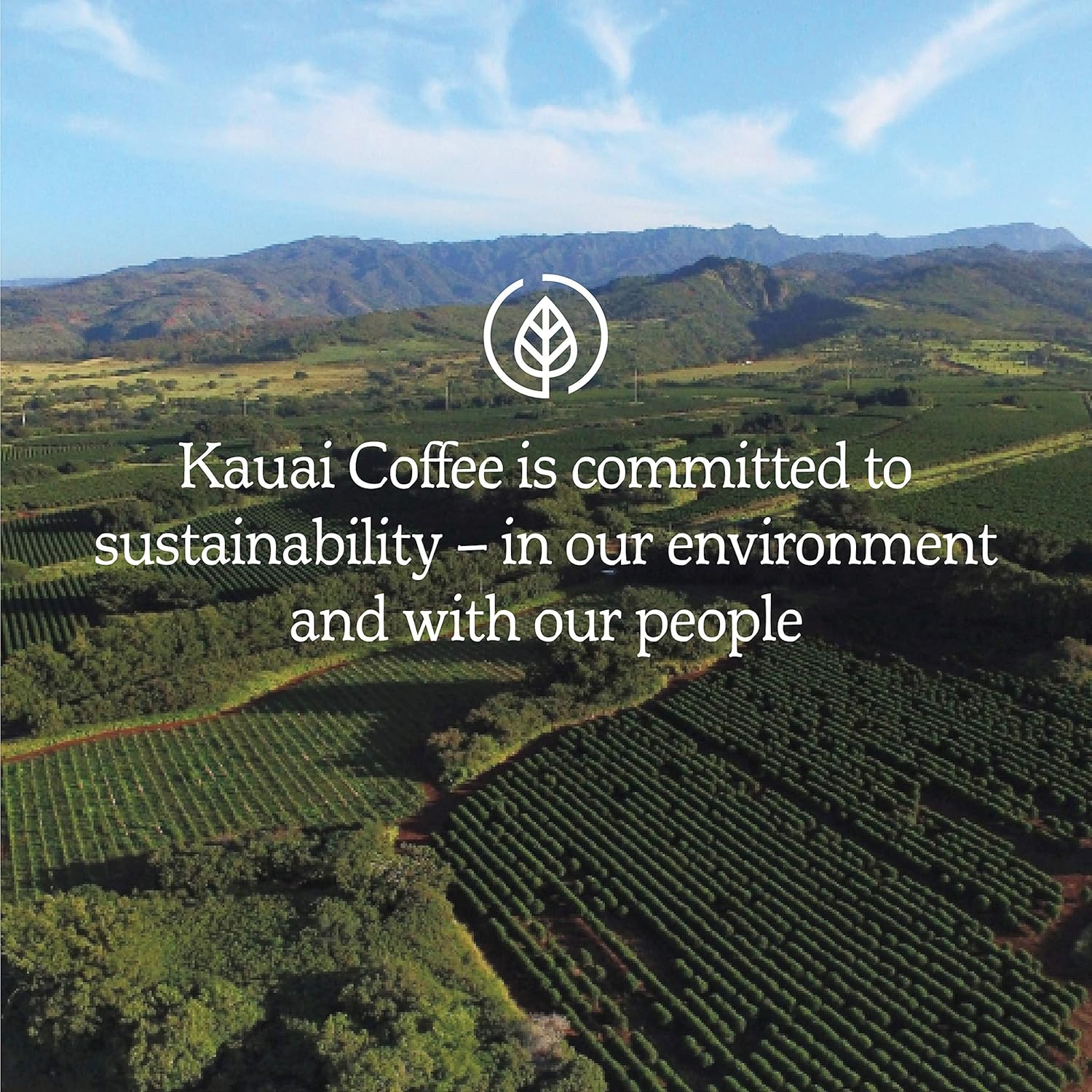 Kauai Coffee Cápsulas de una sola porción, crema de plátano, café arábica del cultivador de café más grande de Hawái, compatible con cafeteras