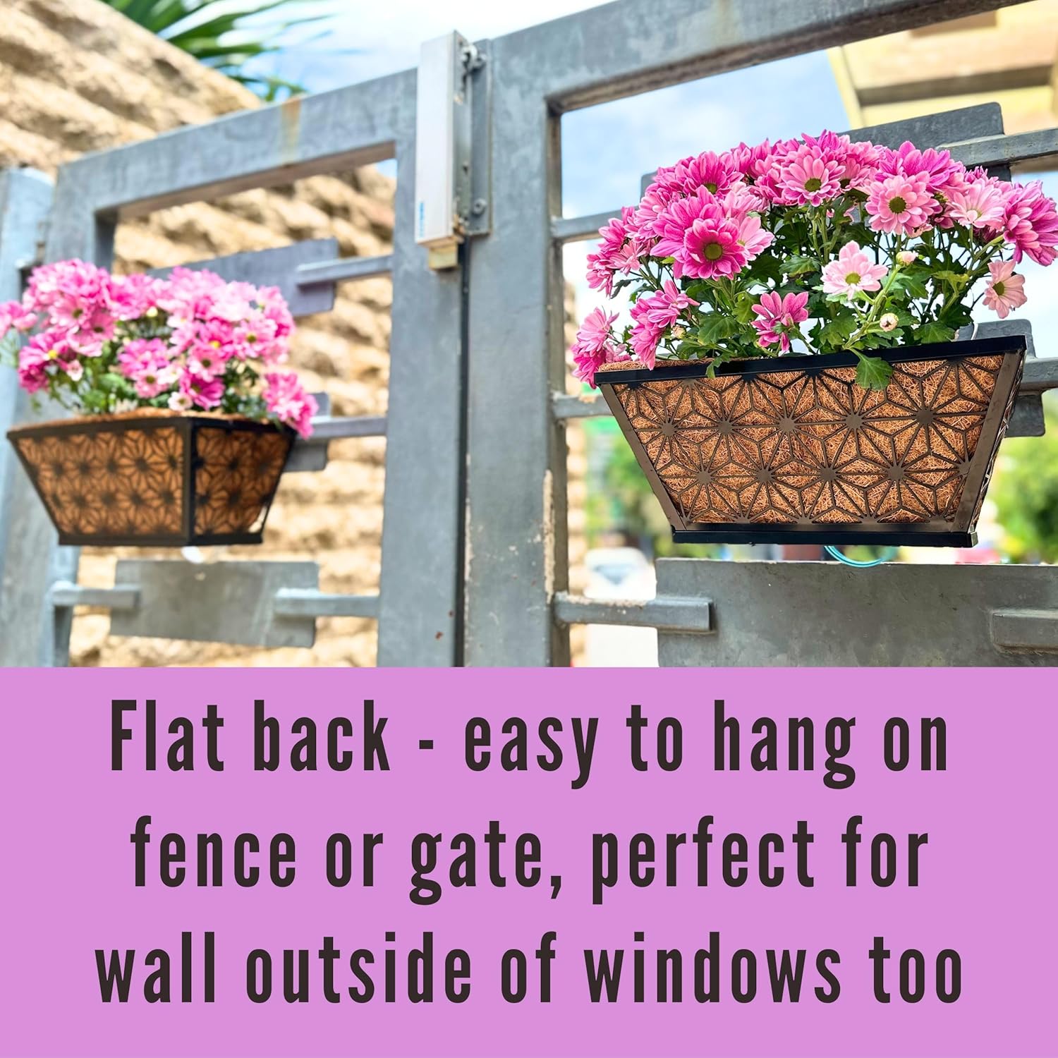 LaLaGreen – Macetas de ventana para plantas de exterior (paquete de 2, 12 pulgadas), macetas rectangulares pequeñas y lindas de metal negro con
