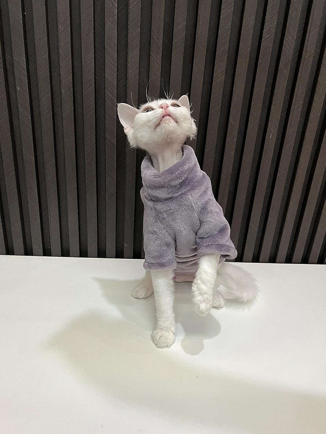Sphynx – Ropa de gato sin pelo, suéter de piel sintética suave y liso, lindo suéter de otoño e invierno, a la moda, cuello alto, ropa de esfinge,