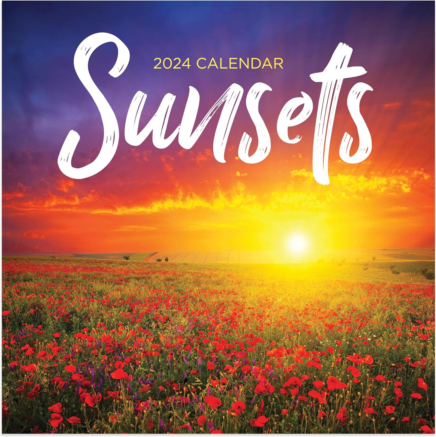 TF PUBLISHING Mini calendario 2024 Sunsets  Rejillas grandes para citas y programación  Calendario mensual vertical de pared 2024  Organización del