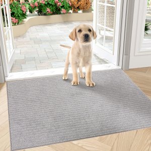 COSY HOMEER Tapetes para puerta de interior, alfombra atrapadora de suciedad, zapatos húmedos y patas, puerta delantera, entrada exterior, entrada COSY HOMEER Tapetes para puerta de interior, alfombra atrapadora de suciedad, zapatos húmedos y patas, puerta delantera, entrada exterior, entrada