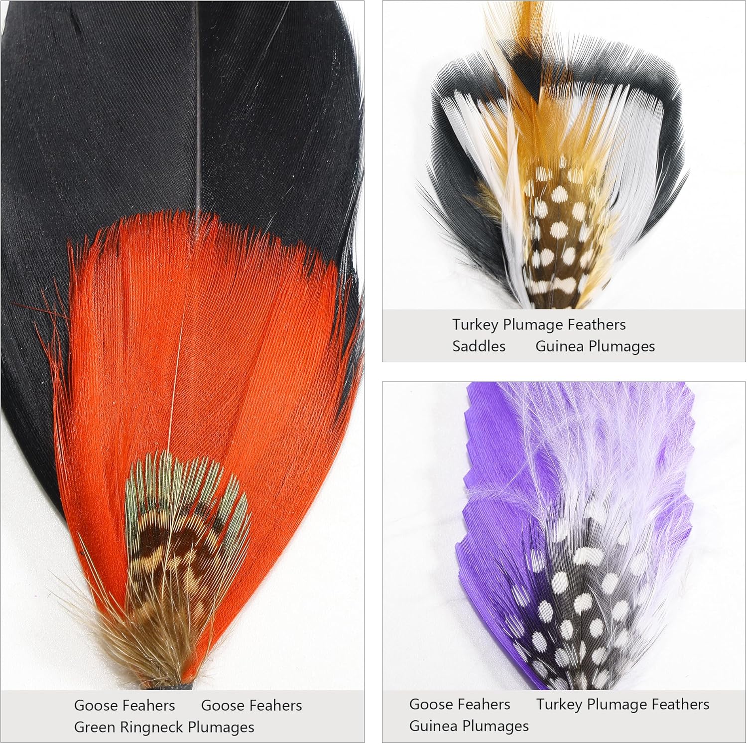 Plumas de sombrero 20 estilos surtidos de plumas para sombreros Fedora, accesorios coloridos de plumas reales para hombres y mujeres