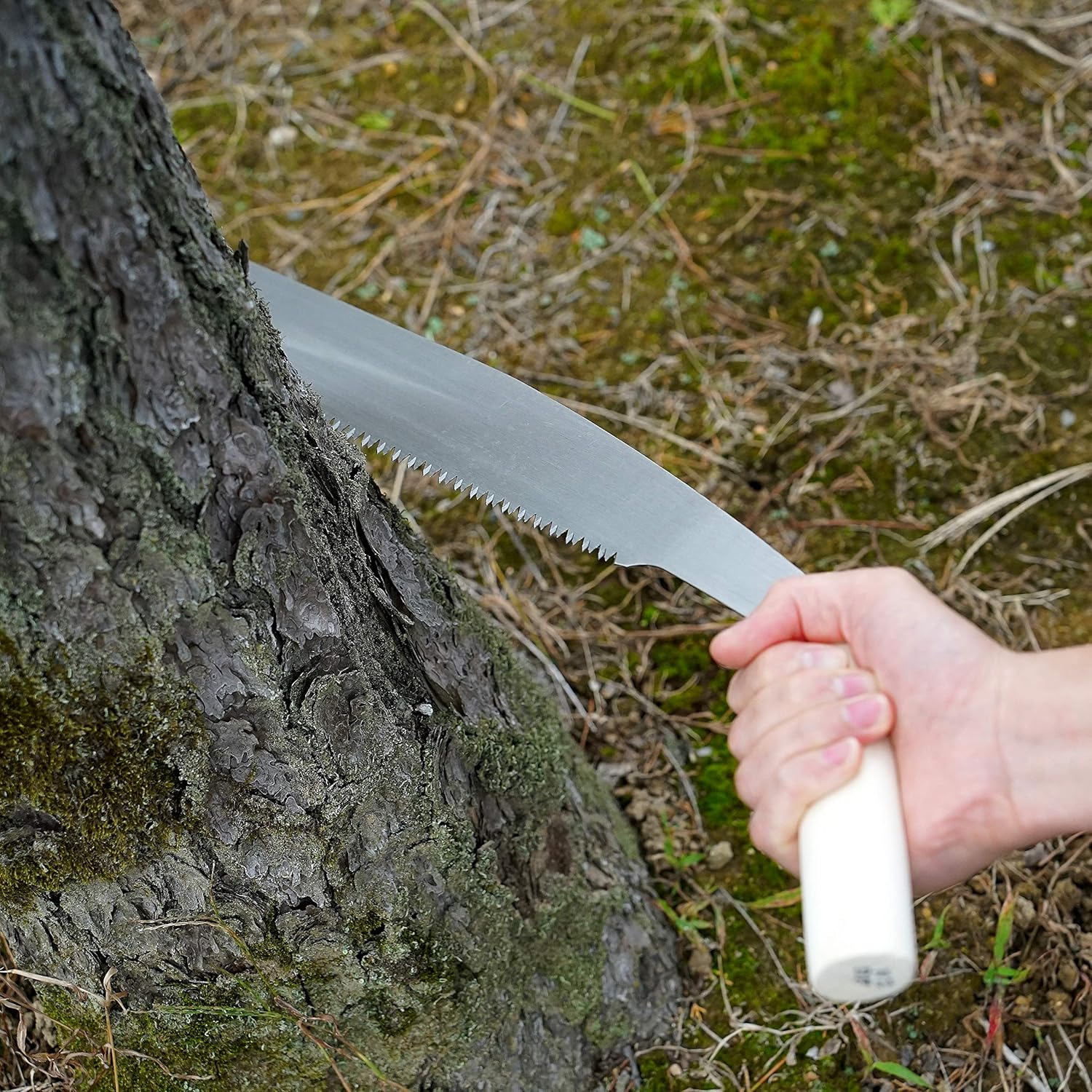 KAKURI Temagari Saw – Sierra japonesa de 14 pulgadas de largo, hoja de acero japonés, sierra de poda de mano grande para cortar árbol, tronco, rama,
