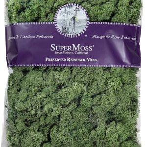 SuperMoss (25154) Musgo de reno, albahaca, 16 onzas SuperMoss (25154) Musgo de reno, albahaca, 16 onzas