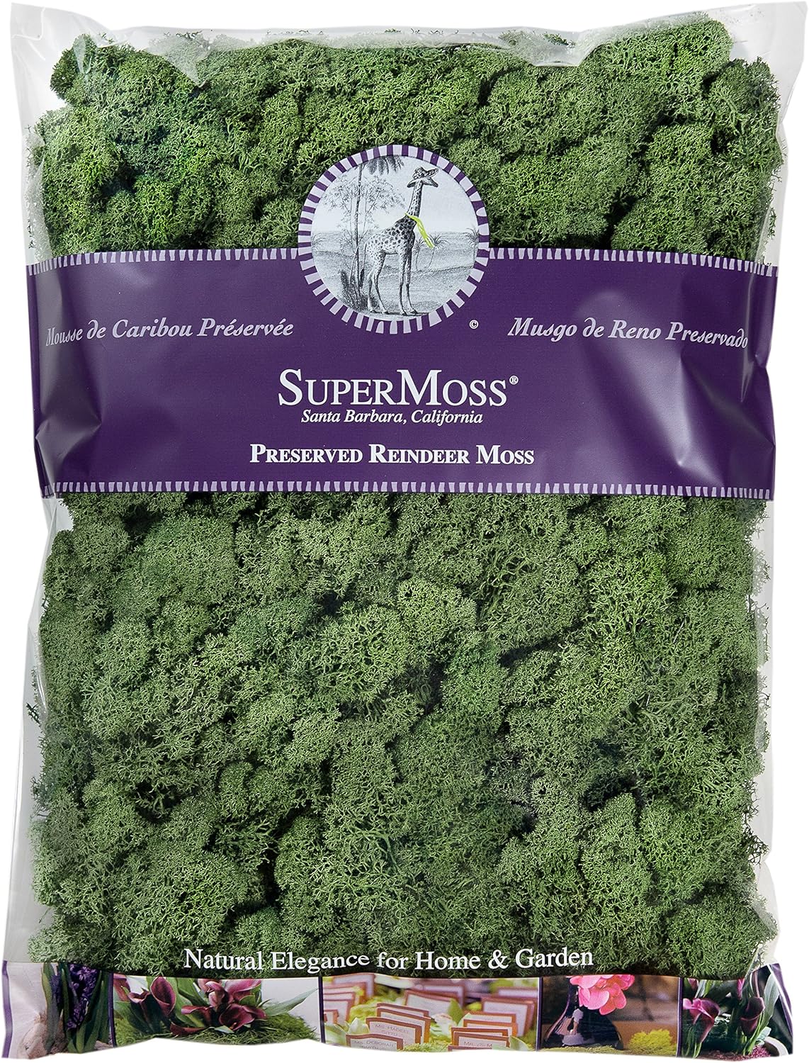 SuperMoss (25154) Musgo de reno, albahaca, 16 onzas