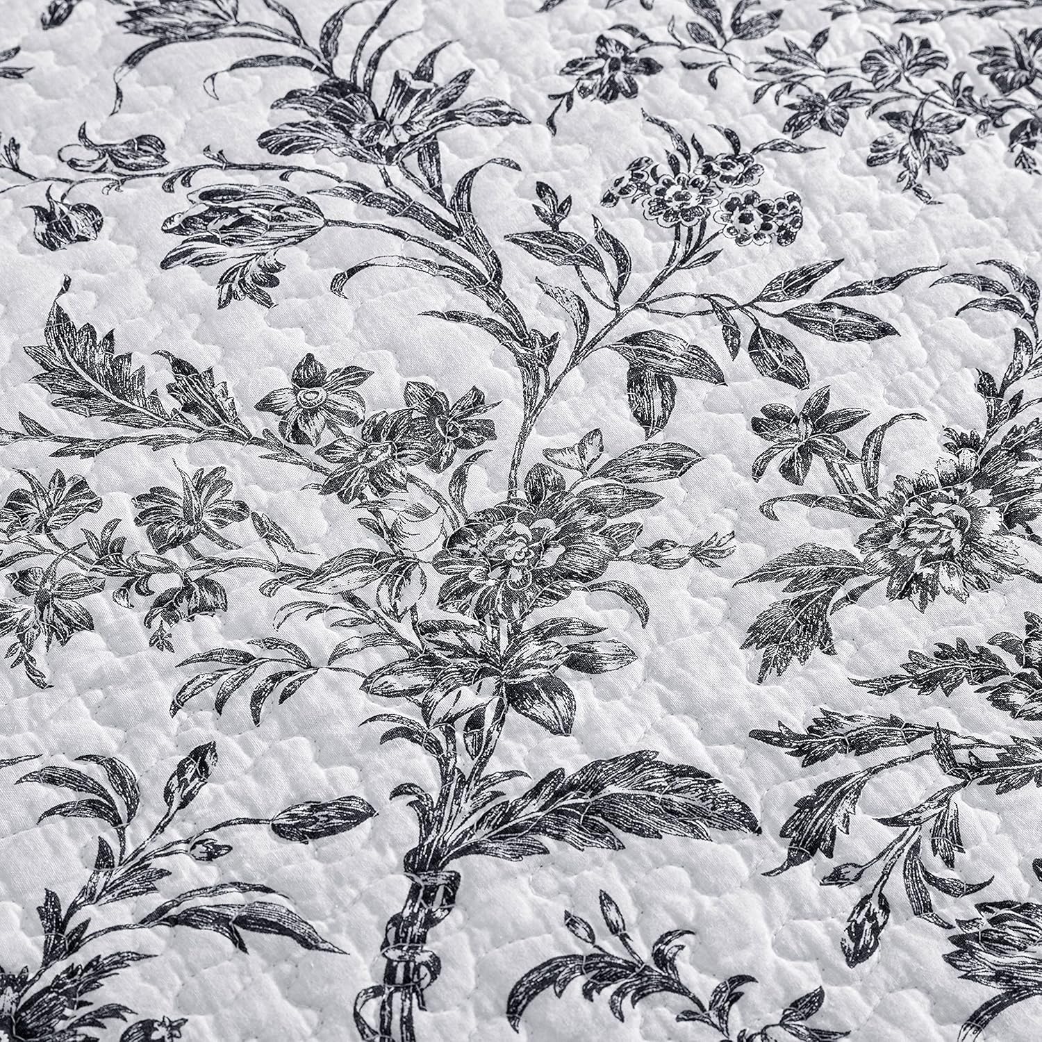 Laura Ashley Inicio – Juego de sofá cama, ropa de cama ligera con fundas de almohada y fundas de almohada a juego, decoración del hogar para todas