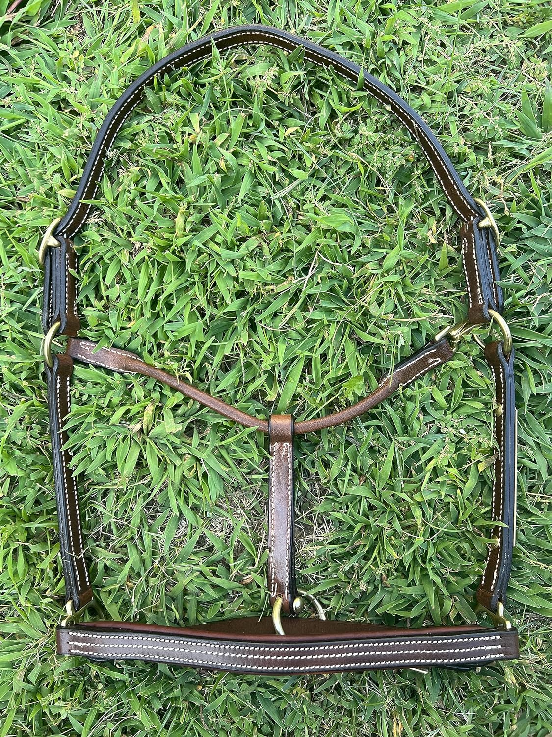Leaders – Cabestro de cuero acolchado de 34 pulgadas para caballos con placa de nombre grabada personalizada, cuero marrón con herrajes de latón