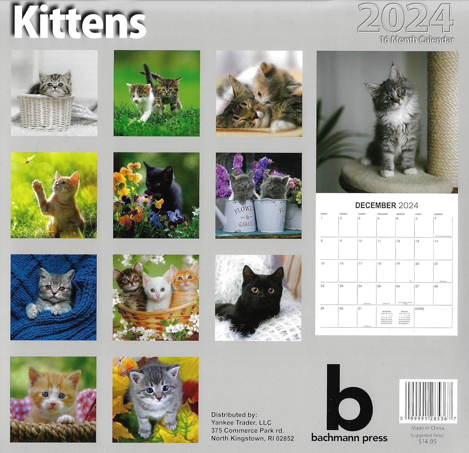 Calendario de pared de tamaño completo para gatitos 2024 para planificar, programar y organizar