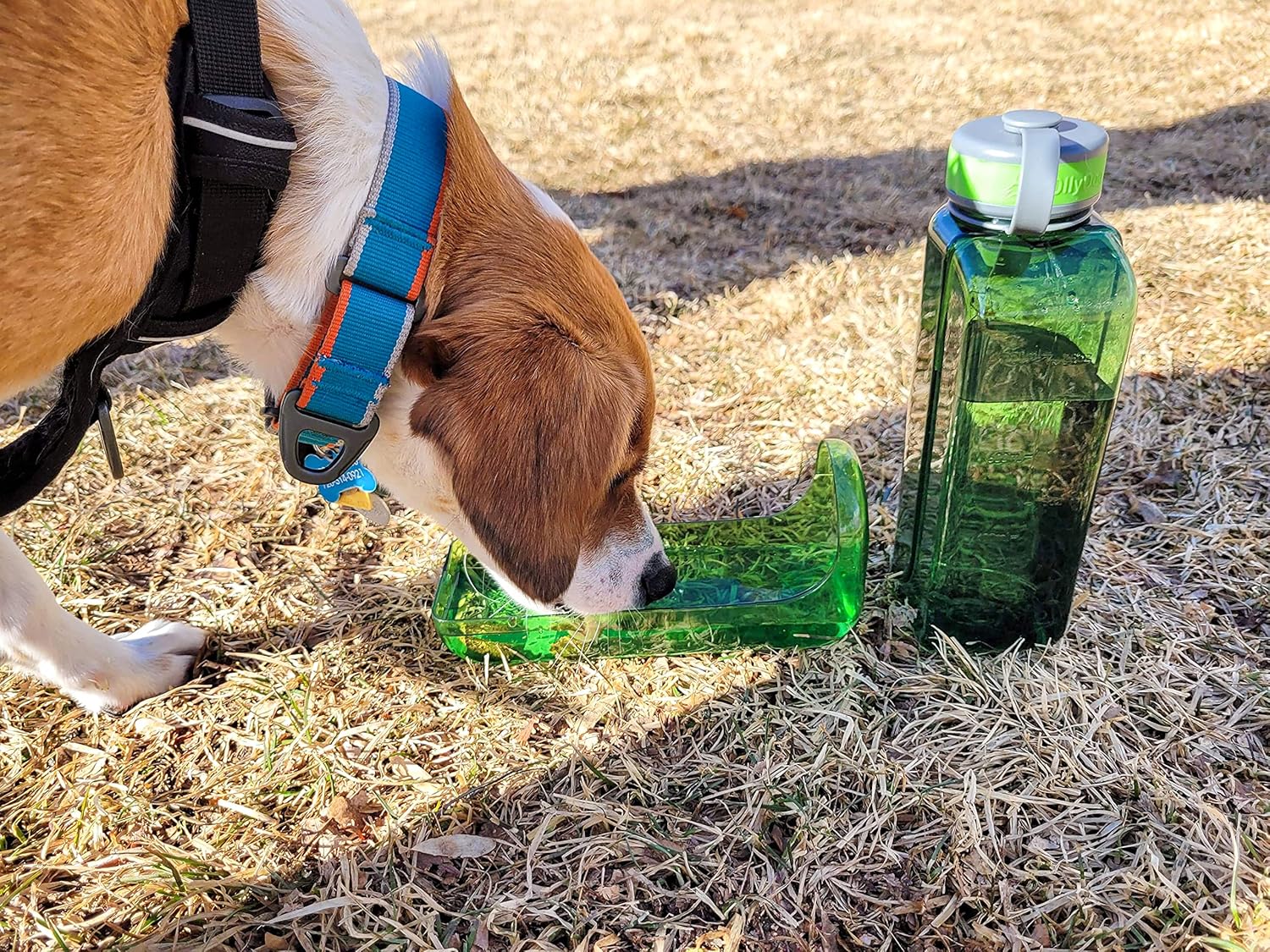 OllyDog OllyBottle – Botella de agua para perros, dispensador de agua para mascotas con cuenco desmontable, accesorios para mascotas para caminar al
