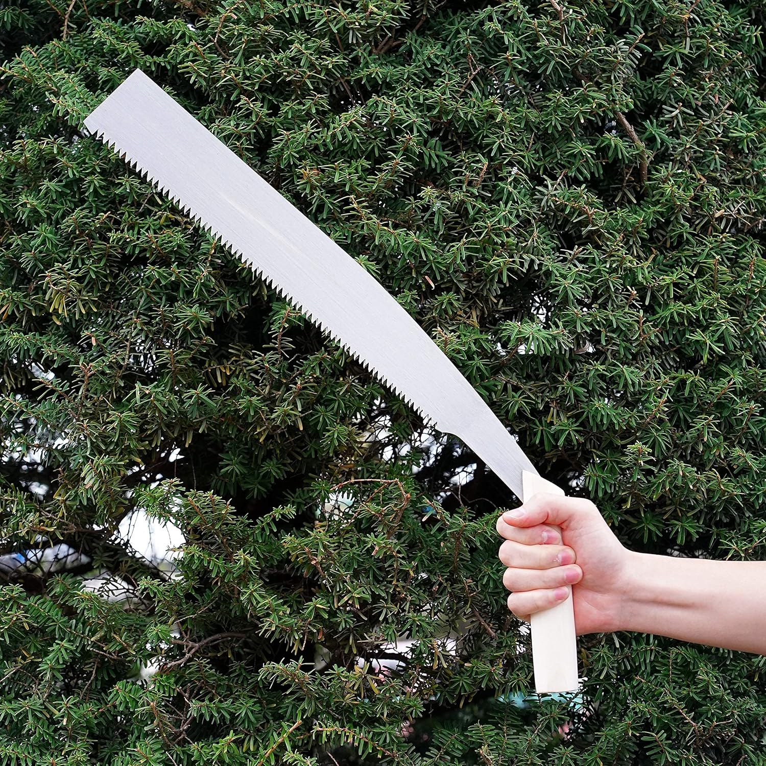 KAKURI Temagari Saw – Sierra japonesa de 14 pulgadas de largo, hoja de acero japonés, sierra de poda de mano grande para cortar árbol, tronco, rama,