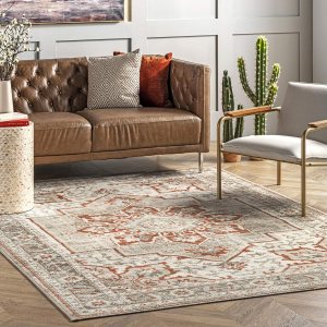 nuLOOM Charlotte Faded Medallion – Alfombra de pasillo, 2 pies 6 pulgadas x 8 pies, color beige nuLOOM Charlotte Faded Medallion – Alfombra de pasillo, 2 pies 6 pulgadas x 8 pies, color beige